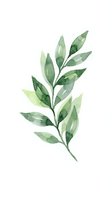 Watercolor botanical branch with layered green leaves in varying tones, isolated on white background. Suitable for design, print, and decorative applications.
