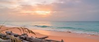 Serene tropical beach at sunset with driftwood on sandy shore, turquoise waves, and golden sky. Perfect for travel, relaxation, and nature-themed designs.