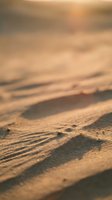 Golden sand dunes with wind-carved ripples and soft shadows creating natural desert patterns in warm sunlight for travel and nature backgrounds.