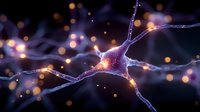 Neuron cell with glowing synapses and electrical impulses in brain network showing neural activity and connections for medical education and neuroscience research.