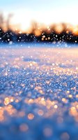 Sparkling snow crystals glowing in golden sunset light create magical winter atmosphere with bokeh effect and blurred forest background in cold evening.
