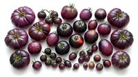 Fresh purple tomatoes and vegetables collection isolated on white background for healthy cooking and organic food design projects.