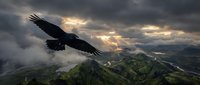 Majestic eagle soaring above dramatic mountain landscape with storm clouds and golden sunlight breaking through, symbolizing freedom and power in nature.
