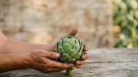 Fresh green artichoke held in hand on rustic wooden surface, suitable for food, cooking, agriculture, and healthy eating content.