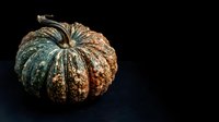 Aged pumpkin with weathered, textured skin displaying green and brown patina on dark background, suitable for autumn, harvest, and seasonal design projects.