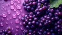 Fresh purple grapes with water drops on vibrant background, macro photography showing juicy texture and natural shine. Grape bunch with green leaf.