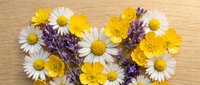 Flat lay of wild flowers arranged in heart shape on wooden background, featuring daisies, buttercups and lavender, top view.