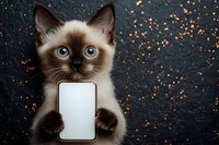 Cute Siamese kitten holding a blank white smartphone screen on a dark glittery background, perfect for social media and pet-themed promotions.
