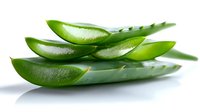 Fresh cut aloe vera plant leaves showing transparent gel inside on white background, natural organic skincare and medicinal ingredient isolated.