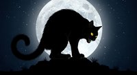 Silhouette of black cat with glowing yellow eyes perched on ground against large full moon and starry night sky, suitable for Halloween, spooky themes, and dark fantasy designs.