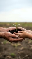 Adult and child hands holding young seedling with soil in agricultural field setting, symbolizing growth, environmental care, and sustainable farming practices.