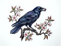 Dark blue raven perched on flowering branch with pink blossoms and green leaves, isolated on white background for design, apparel, and clipart use.