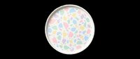 Colorful terrazzo plate with pastel stone pattern isolated on transparent background, ready for design use on t-shirts, stickers, clipart, and print-on-demand products.