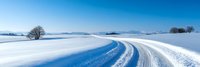 Winding snow-covered road through pristine winter landscape with bare trees under clear blue sky, perfect for seasonal travel and transportation concepts.