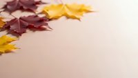 Colorful autumn maple leaves in burgundy and golden yellow scattered on neutral beige background with copy space for seasonal design projects.