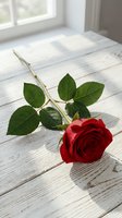 Single red rose with green leaves lying on rustic white wooden table near window with natural sunlight for romantic occasions and love concepts.