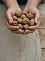 Male hands holding fresh walnuts in shell, suitable for food, agriculture, nutrition, and healthy eating content for websites and marketing materials.