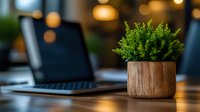 Small green plant in wooden pot on office desk with laptop and blurred bokeh background, modern workspace interior with natural decoration.