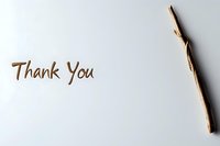 Handwritten thank you message in brown ink with natural wooden pen on white background, minimalist gratitude concept for greeting cards and social media.