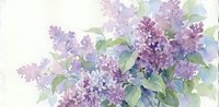 Watercolor lilac flowers with green leaves in soft purple tones, spring botanical illustration for greeting cards, wedding invitations and decor.
