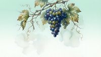 Watercolor grape cluster with vine leaves and tendrils on soft gradient background for wine labels, kitchen decor, botanical art and culinary designs.