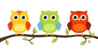 Colorful cartoon owls perched on tree branch with green leaves, featuring yellow, green and red birds with big eyes and decorative patterns. Isolated on white background.