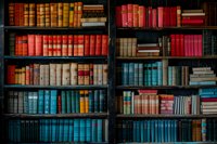Vintage hardcover books arranged on wooden shelves in library. Collection features varied colors from red and blue to brown, creating atmospheric academic ambiance.