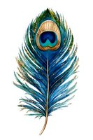 Isolated peacock feather with vibrant blue, teal, and gold tones featuring the characteristic eye marking, ready for design projects, textiles, and decorative applications.