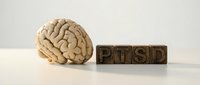 Human brain model next to wooden letter blocks spelling PTSD on neutral background representing post-traumatic stress disorder concept for mental health awareness.