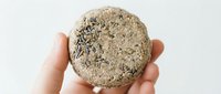 Hand holding a solid shampoo bar with lavender seeds on white background, eco-friendly zero waste hair care product for sustainable beauty.
