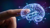 Human hand touching glowing digital brain with neural network connections on dark background representing artificial intelligence and technology.