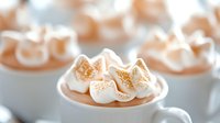 Hot chocolate with toasted marshmallows in white ceramic mugs creating cozy winter beverage scene for seasonal marketing and comfort food concepts.