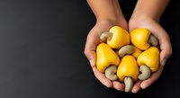 Hands holding fresh yellow mushrooms and golden cashew nuts on dark background for healthy food and nutrition concepts.