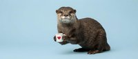 Cute otter holding a small white mug with a red heart, sitting upright on a light blue background, perfect for coffee and animal lover content.