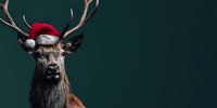 Majestic deer wearing Santa hat and red nose against dark green background, perfect for holiday season greeting cards and festive marketing materials.