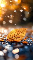 Golden autumn leaf on wet ground with magical bokeh lights and raindrops in background. Macro nature photography with shallow depth of field creates dreamy atmosphere.