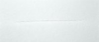 Minimalist horizontal line on light gray background, isolated design element suitable for web graphics, presentations, dividers, and digital layouts.