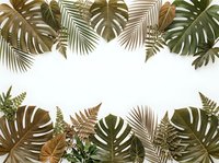 Tropical leaves frame with monstera, palm and fern foliage creating natural border on white background for summer design projects and botanical themes.