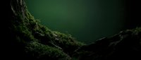 Moss-covered rocky terrain with lush green vegetation in shadowy forest environment, suitable for nature backgrounds and environmental design projects.
