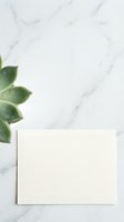 Blank cream card on marble surface with green succulent plant, overhead flat lay composition for stationery, invitation, and greeting card design projects.