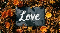 Love written on a dark slate sign surrounded by vibrant orange autumn flowers, evoking romance and warmth for cards and decor.