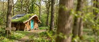 Cozy wooden cabin nestled among tall forest trees with green foliage, featuring a blue roof and turquoise door, surrounded by natural woodland landscape for retreat and nature concepts.