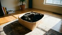 Black cat sleeping peacefully in cardboard box on sunny wooden floor near window. Cozy home interior with natural light streaming across room.