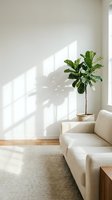 Minimalist living room interior with cream upholstered sofa, potted green plant casting shadow on white wall, natural sunlight from window, wooden floor and neutral area rug for home decor.