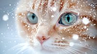 Adorable orange tabby kitten with striking blue eyes surrounded by magical snowflakes and winter sparkles creating dreamy holiday atmosphere for pet care designs.