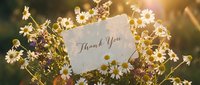 Thank you card nestled among wild daisies and summer wildflowers in warm golden sunlight, perfect for gratitude and appreciation themes.