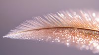 Delicate white feather with sparkling water drops and bokeh effect in soft pink morning light against blurred purple background. Macro photography.