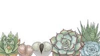 Succulent plants collection with various cacti and desert flora arranged on white background for botanical design projects and home decor concepts.
