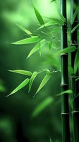 Fresh green bamboo stalks with delicate leaves against blurred natural background, creating zen-like atmosphere for wellness and spa designs.