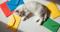 Young gray and white tabby kitten playing with colorful envelopes on white surface, overhead view for pet care, animal behavior, and playful content.